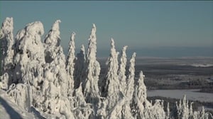 Luonto lähellä: umpihankihiihtoa