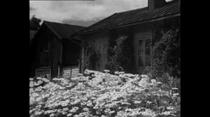 Oi maamme!: Suomi-vodka