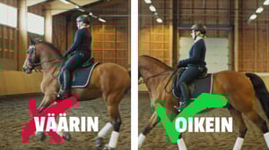 Ratsaille: Itsenäinen istunta