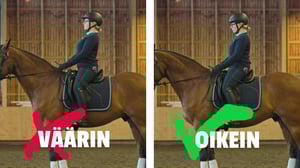 Ratsaille: Nouse satulaan