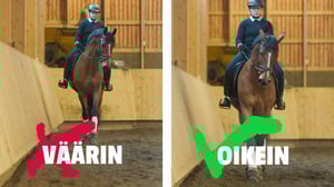 Ratsaille: Suora hevonen