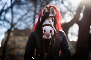 Yle Uutisluokka Triplet: Suomen keppihevosharrastus herättää huomiota maailmalla