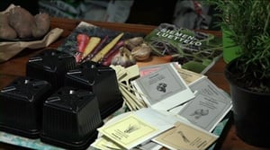 Luonto lähellä: Parvekkeen hyötykasvit