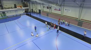 Stafettkarnevalen 2017 - skolornas egna videor: Sjundeå svenska skola