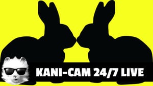 Kani-CAM 24/7 DAY 19