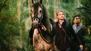 Hevostilan salaisuus