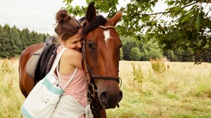 Hevostilan salaisuus