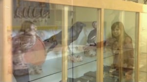 Stafettkarnevalen 2017 - skolornas egna videor: Terjärv skola