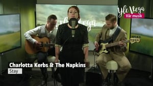 Vår Musik - video: The Napkins - Minikonsert