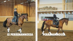 Ratsaille: Peräänanto, mutta miten?