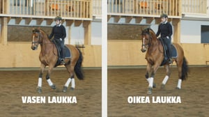 Ratsaille: Tahti ja tempo