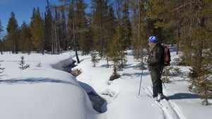 Yle Uutisluokka Triplet: Maanomistajia kannustetaan perustamaan luonnonsuojelualueita