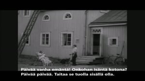 Oi maamme!: Kauppareissu