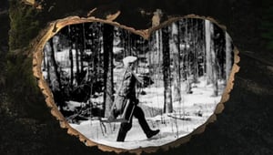 Oi maamme!: Kaada ja karsi puu oikein