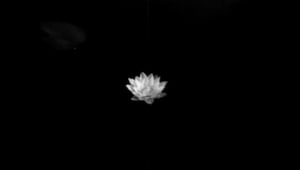 Oi maamme!: Runo luonnosta