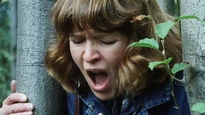 Harjunpää ja ahdistelija