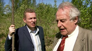 Turvetta ja timantteja