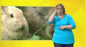 Unelmajuttu: Unelmajuttu (viittomakielelle tulkattuna)