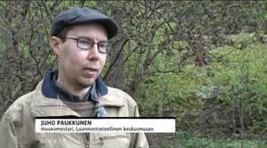 Luonto lähellä: kimalaisten kevät