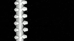 Oi maamme!: SAIPPUAKAUPPIAS