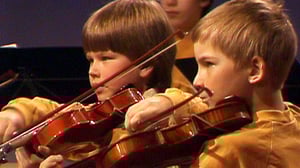 Viuluviikarit musiikkimaassa