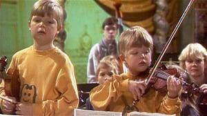 Viuluviikarit musiikkimaassa