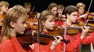 Viuluviikarit musiikkimaassa