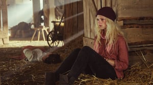 Hevostilan salaisuus