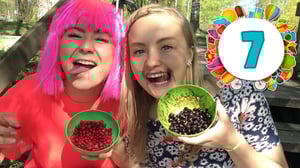 Galaxin kesäkoodi: Galaxin kesäkoodi osa 7: Marjat vertailussa