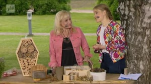 Lumpeen kukat: hyönteishotellit