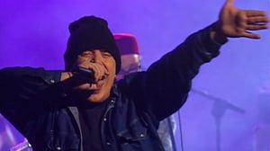 Groovymeisseli: Cool Sheiks