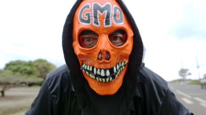 Docventures: Food Evolution