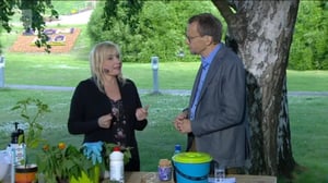 Lumpeen kukat: Luonnonmukainen tuholaistorjunta