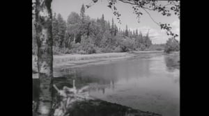 Oi maamme!: Kasvoin siellä minäkin