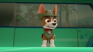 Tulossa!: Ryhmä Hau