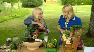 Lumpeen kukat: minipuutarha