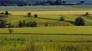 Yle Uutisluokka Triplet: Itämerta suojellaan peltojen suojavyöhykkeillä