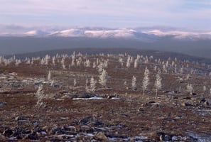 Yle Uutisluokka Triplet: Uusi teos yhdistää maisemakuviin biologiaa, geologiaa, säätietoja ja karttoja