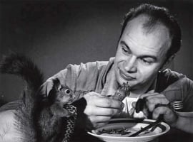 Yle Uutisluokka Triplet: Spede teki viihdettä koko perheelle