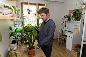 Yle Uutisluokka Triplet: Nuoret miehet innostuivat viherkasveista