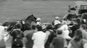 Oi maamme!: Kupittaalta Metsämäkeen