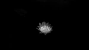 Oi maamme!: Pyhimys – Inari Pöyhtäri