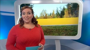 Yle Uutiset Uutis-Suomi: Yle Uutiset Uutis-Suomi 05-10-2017