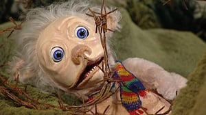 Aasi, Morso ja Mouru