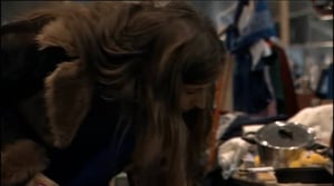 Palanen: Kirppariprinsessa