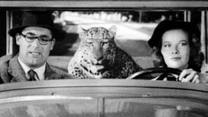 Kino Klassikko: Hätä ei lue lakia