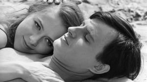 Rakkaus alkaa aamuyöstä