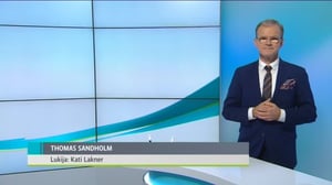 Yle Uutiset Viikko viitottuna