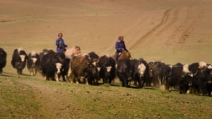 Kiehtova maailma: Nomadien matkassa