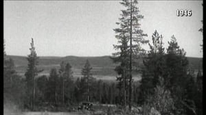 Vuosirenkaita: 14.12.2015 14.53